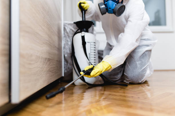 Best Residential Pest Control  in Center Hill, FL