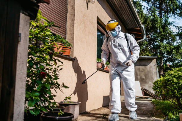 Best Affordable Pest Control Services  in Center Hill, FL