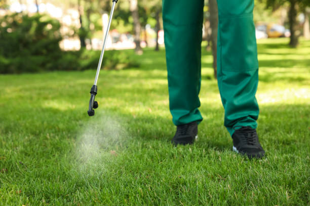 Best Termite Control Services  in Center Hill, FL