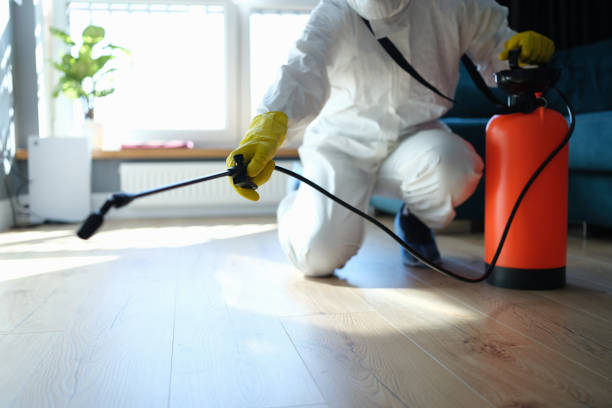Best Wasp Removal Services  in Center Hill, FL