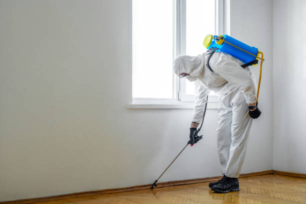Best Pest Control Near Me  in Center Hill, FL