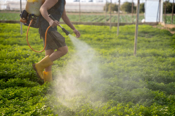 Professional Pest Control in Center Hill, FL