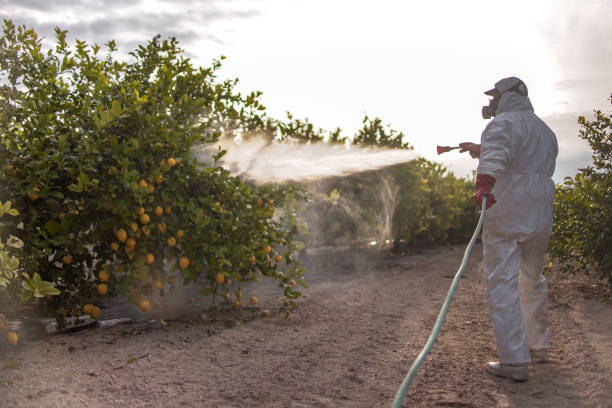 Best Mosquito Control Services  in Center Hill, FL