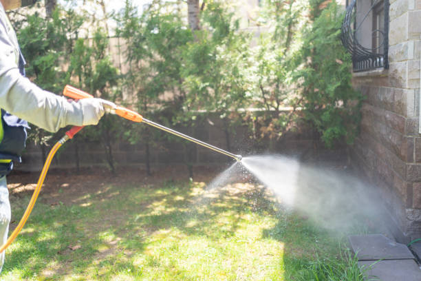 Best Best Pest Control Companies  in Center Hill, FL