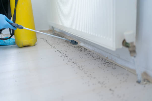 Best Pest Control Near Me in Center Hill, FL