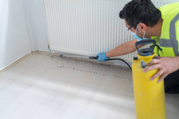 Best Local Pest Control Services  in Center Hill, FL
