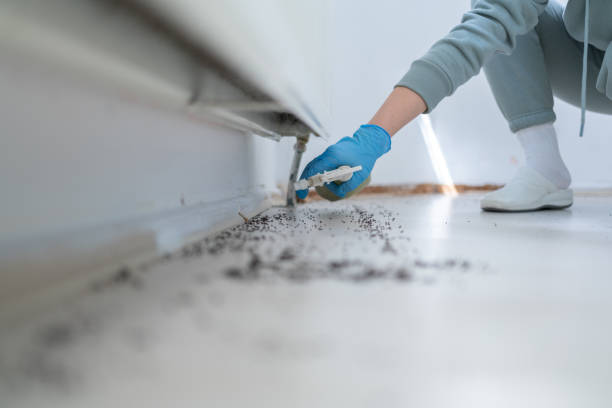 Best Pest Inspection Near Me  in Center Hill, FL